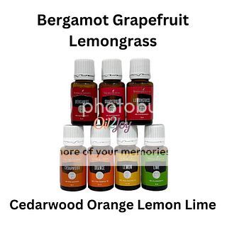 YL Lemon Orange Lemongrass Cedarwood Lime Grapefruit Bergamot Rosemary Essential Oil 5ml 15ml Young 