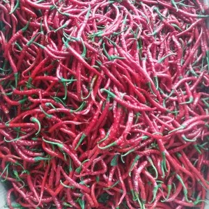 Cabe merah 1kg 1kg