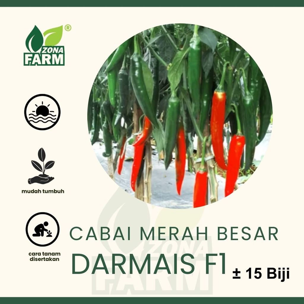Benih Cabai Merah Besar Darmais F1 Unggul -+15biji