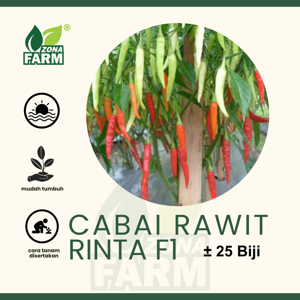 Benih Cabai Rawit Rinta F1 Unggul 20 Biji