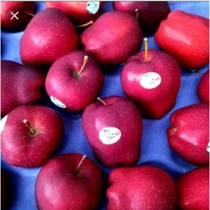 Apel merah washington