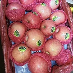 apel fuji Sunpride size 32 1kg