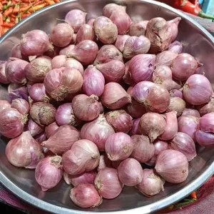 Bawang Merah Bima besar/sedang 1kg
