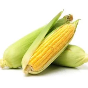 Jagung Muda 1 Kg 1kg