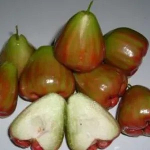 Jambu Air Hijau manis 1kg