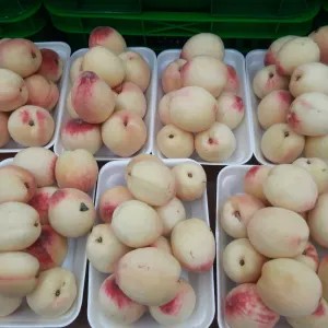 buah peach