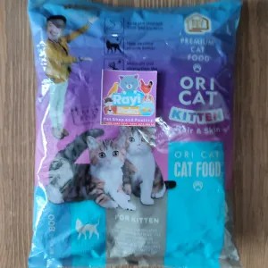 Ori Cat Kitten