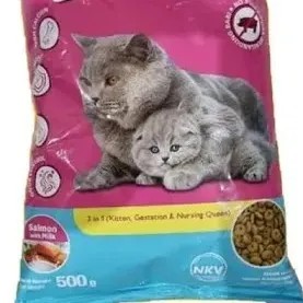 Felibite Mother & Kitten