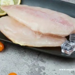 Fillet ikan Kakap Putih Baramudi