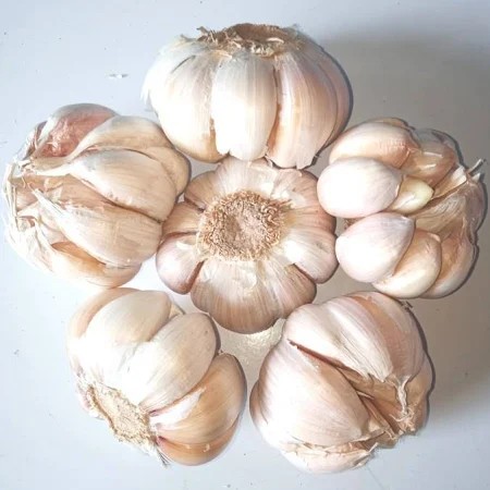 bawang putih 1kg