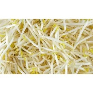 toge jepang 1per pack