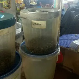 biji/bubuk kopi medan rebusta 100g