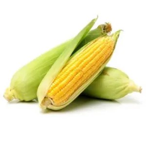 Jagung Manis 1kg