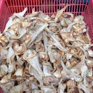Ikan Asin Bulu bebek 1 Ons