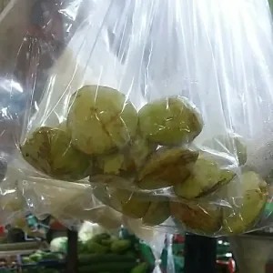 jengkol muda