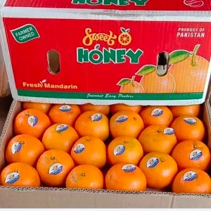 1 BOX JERUK MANDARIN KINO