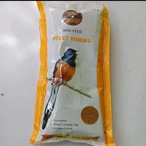 gold coin murai kuning