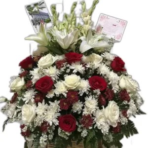 bunga meja lili putih1 tangkai/mawar putih/merah15/$.