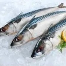 ikan tenggiri 1000g