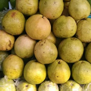 jambu merah 1kg