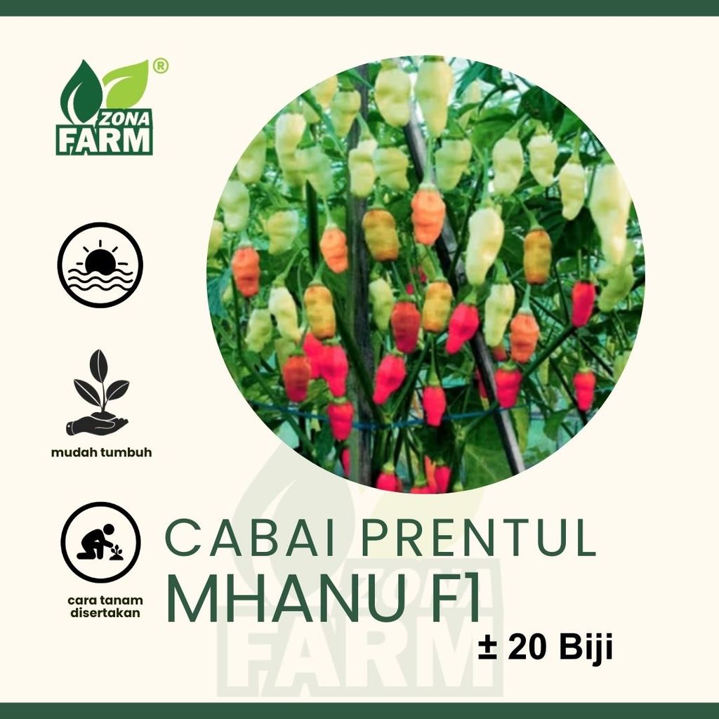 Benih Cabai Prentul Mhanu F1 Unggul 20 Biji
