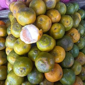 jeruk keprok malang(manis  segeerr) 1kg