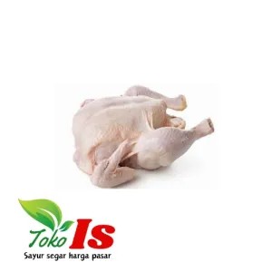Ayam Broiler Hidup Besar atau kecil Potong Instan
