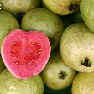 jambu biji merah 1kg