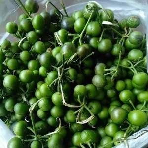 SAYUR LEUNCA PER PACK 1per pack