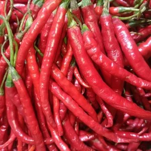 CABE KRITING MERAH/1kg