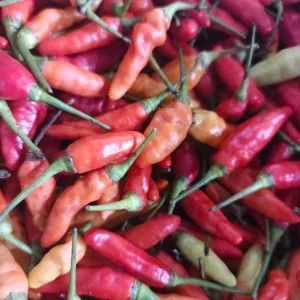Cabe Rawit merah 1000G/1 KG 1kg