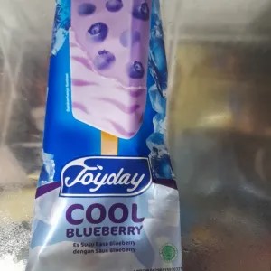 ice crem cool blueberry