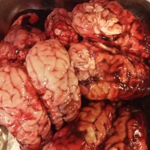 OTAK SAPI FRESH 1 PC