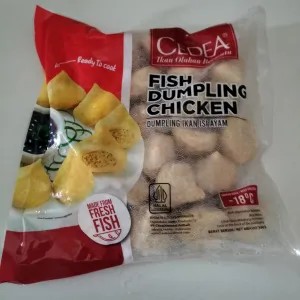 dumpling ayam