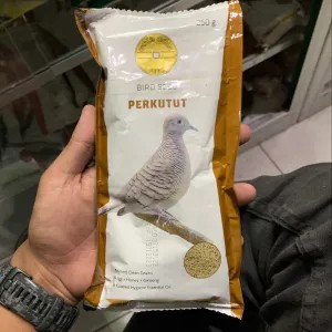 goldcoin perkutut kecil