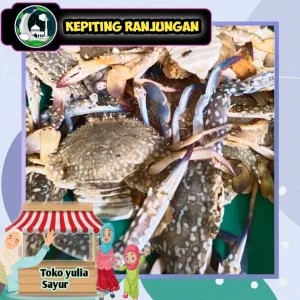 kepiting Rajungan