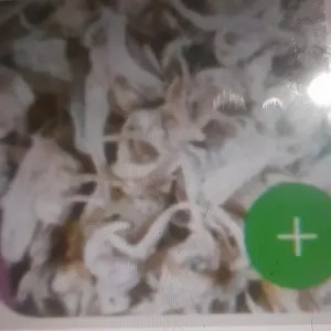 ikan asin tawar bulu ayam 100g