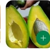 alpukat mentega matang 1kg