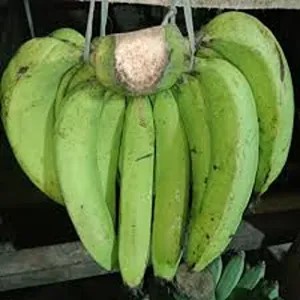 Pisang Ijo Ambon 2Kg