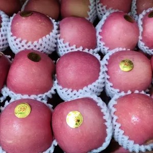 Apel Fuji Premium 1kg