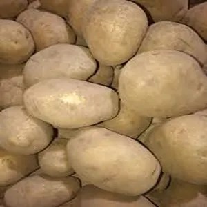 Kentang Dieng Super 1 Kg 1kg