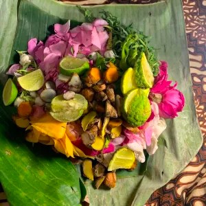 bunga macan kera mandi