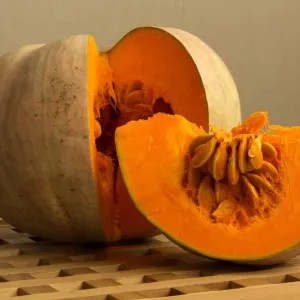 labu kuning kecil 1 buah