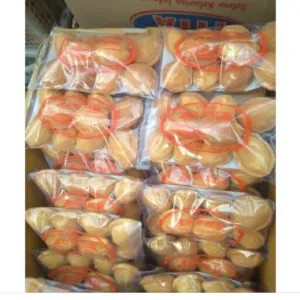 bolu jadul basah dan kering