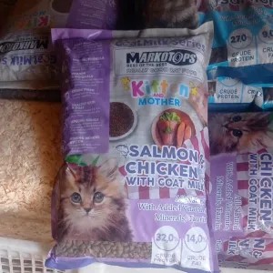 Markotops Kitten & Mother