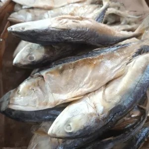 ikan asin.peda 1kg
