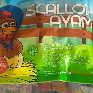Scallop ayam