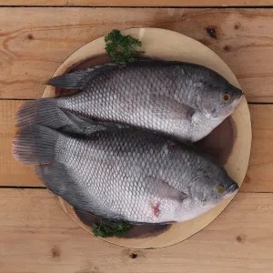 Ikan Gurame 1kg 1kg
