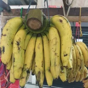 pisang ambon super