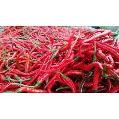 cabe kriting merah 1kg